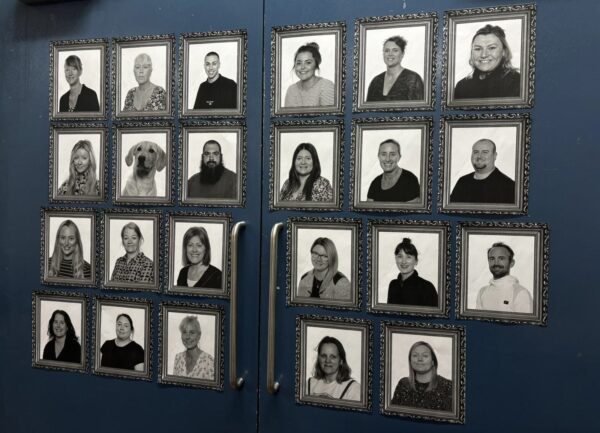 👀✨ The Traitors are here! 🛡️🛡️